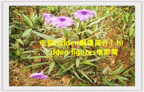 电影hidden剧情简介？hidden figures电影简介